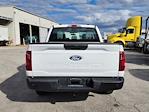 New 2024 Ford F-150 XL SuperCrew Cab RWD, Pickup for sale #1840751 - photo 7