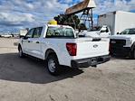 New 2024 Ford F-150 XL SuperCrew Cab RWD, Pickup for sale #1840751 - photo 2