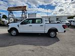 New 2024 Ford F-150 XL SuperCrew Cab RWD, Pickup for sale #1840751 - photo 8