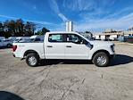 New 2024 Ford F-150 XL SuperCrew Cab 4WD, Pickup for sale #1844059 - photo 5