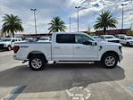 New 2024 Ford F-150 XLT SuperCrew Cab 4WD, Pickup for sale #1847744 - photo 5