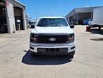 New 2024 Ford F-150 STX SuperCrew Cab RWD, Pickup for sale #1847756 - photo 3