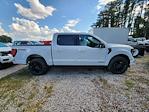 2024 Ford F-150 SuperCrew Cab 4WD, Pickup for sale #1806021 - photo 24