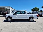 2024 Ford F-150 SuperCrew Cab 4WD, Pickup for sale #D11962 - photo 8