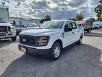 New 2024 Ford F-150 XL SuperCrew Cab RWD, Pickup for sale #1840751 - photo 1