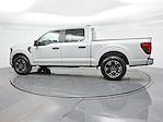 New 2024 Ford F-150 STX SuperCrew Cab 4x2, Pickup for sale #R242123 - photo 5