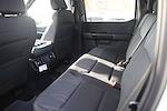 New 2024 Ford F-150 STX SuperCrew Cab 4x2, Pickup for sale #R242336 - photo 14