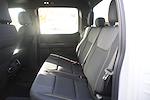 New 2024 Ford F-150 STX SuperCrew Cab 4x2, Pickup for sale #R242509 - photo 14