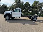 New 2024 Ford F-450 XL Regular Cab 4x2, Cab Chassis for sale #MC240212 - photo 17