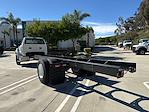 New 2024 Ford F-650 Base Regular Cab 4x2, Cab Chassis for sale #C240332 - photo 2