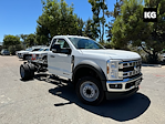 2024 Ford F-450 Regular Cab DRW 4x2, Cab Chassis for sale #C242293 - photo 1