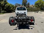 New 2024 Ford F-450 XL Regular Cab 4x2, Cab Chassis for sale #C242293 - photo 4