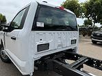 2024 Ford F-350 Regular Cab DRW 4x2, Cab Chassis for sale #C242450 - photo 9