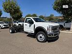 2024 Ford F-550 Regular Cab DRW 4x2, Cab Chassis for sale #C242717 - photo 1