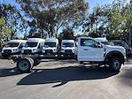 New 2024 Ford F-600 Regular Cab 4x2, Cab Chassis for sale #C242940 - photo 3