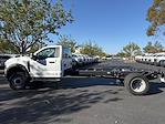 New 2024 Ford F-600 Regular Cab 4x2, Cab Chassis for sale #C242940 - photo 6