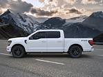 New 2024 Ford F-150 XLT SuperCrew Cab 4x4, Pickup for sale #C242993 - photo 4