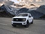 New 2024 Ford F-150 XLT SuperCrew Cab 4x4, Pickup for sale #C243220 - photo 3