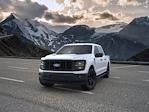 New 2024 Ford F-150 STX SuperCrew Cab 4x4, Pickup for sale #C243241 - photo 3