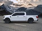 New 2024 Ford F-150 STX SuperCrew Cab 4x4, Pickup for sale #C243241 - photo 4