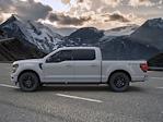 New 2024 Ford F-150 XLT SuperCrew Cab 4x4, Pickup for sale #C243453 - photo 4