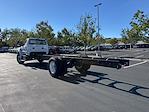 New 2025 Ford F-650 Base Regular Cab 4x2, Cab Chassis for sale #C250082 - photo 5