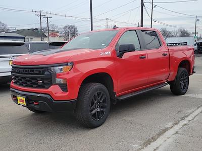 New 2024 Chevrolet Silverado 1500 Custom Crew Cab 4WD, Pickup for sale #RG190502 - photo 1