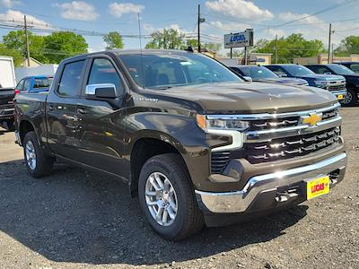 2024 Chevrolet Silverado 1500 Crew Cab 4WD, Pickup for sale #RZ237992 - photo 1