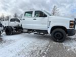 New 2024 Chevrolet Silverado 6500 Crew Cab 4x2, Cab Chassis for sale #24WC2343 - photo 7