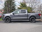 2024 Ford F-150 SuperCrew Cab 4WD, Pickup for sale #2400195 - photo 15