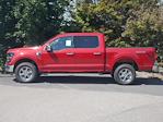 New 2024 Ford F-150 XLT SuperCrew Cab 4WD, Pickup for sale #2400475 - photo 19