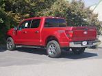 New 2024 Ford F-150 XLT SuperCrew Cab 4WD, Pickup for sale #2400475 - photo 2