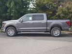 New 2024 Ford F-150 XLT SuperCrew Cab 4WD, Pickup for sale #2400586 - photo 17