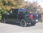 New 2024 Ford F-150 XLT SuperCrew Cab 4WD, Pickup for sale #2400589 - photo 2