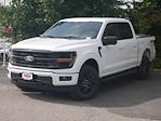 New 2024 Ford F-150 XLT SuperCrew Cab 4WD, Pickup for sale #2400601 - photo 3