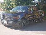 New 2024 Ford F-150 XLT SuperCrew Cab 4WD, Pickup for sale #2400721 - photo 3