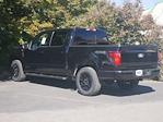 New 2024 Ford F-150 XLT SuperCrew Cab 4WD, Pickup for sale #2400724 - photo 2