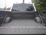 New 2024 Ford F-250 Platinum Crew Cab 4WD, Pickup for sale #2400768 - photo 31