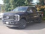 New 2024 Ford F-250 Lariat Crew Cab 4WD, Pickup for sale #2400771 - photo 3