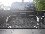 New 2024 Ford F-150 XLT SuperCrew Cab 4WD, Pickup for sale #2400788 - photo 24