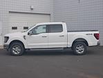 New 2024 Ford F-150 XLT SuperCrew Cab 4WD, Pickup for sale #2400808 - photo 19