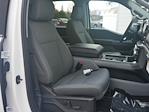 New 2024 Ford F-150 XLT SuperCrew Cab 4WD, Pickup for sale #2400808 - photo 24