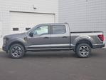 New 2024 Ford F-150 STX SuperCrew Cab 4WD, Pickup for sale #2400965 - photo 17