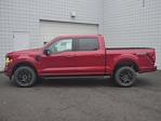 2024 Ford F-150 SuperCrew Cab 4WD, Pickup for sale #2401061 - photo 19