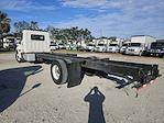 Used 2016 Hino 338 Single Cab 4x2, Cab Chassis for sale #657808 - photo 2