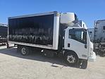 Used 2017 Isuzu NQR Regular Cab 4x2, Refrigerated Body for sale #680580 - photo 5