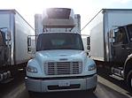 Used 2019 Freightliner M2 106 Conventional Cab 4x2, Refrigerated Body for sale #794308 - photo 2