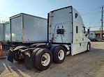 Used 2019 Freightliner Cascadia Sleeper Cab 6x4, Semi Truck for sale #865226 - photo 5