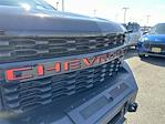 2020 Chevrolet Silverado 1500 Crew Cab SRW 4x4, Pickup for sale #163426 - photo 10