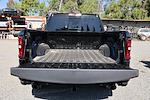 New 2025 Ram 1500 Lone Star Crew Cab 4x4, Pickup for sale #2250128 - photo 36